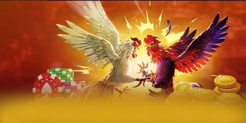 FB88 - Cổng game bài tốc độ cao trên thị trường