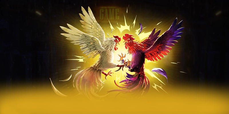 8XBET - Cổng giải trí có danh mục game hấp dẫn hiện nay